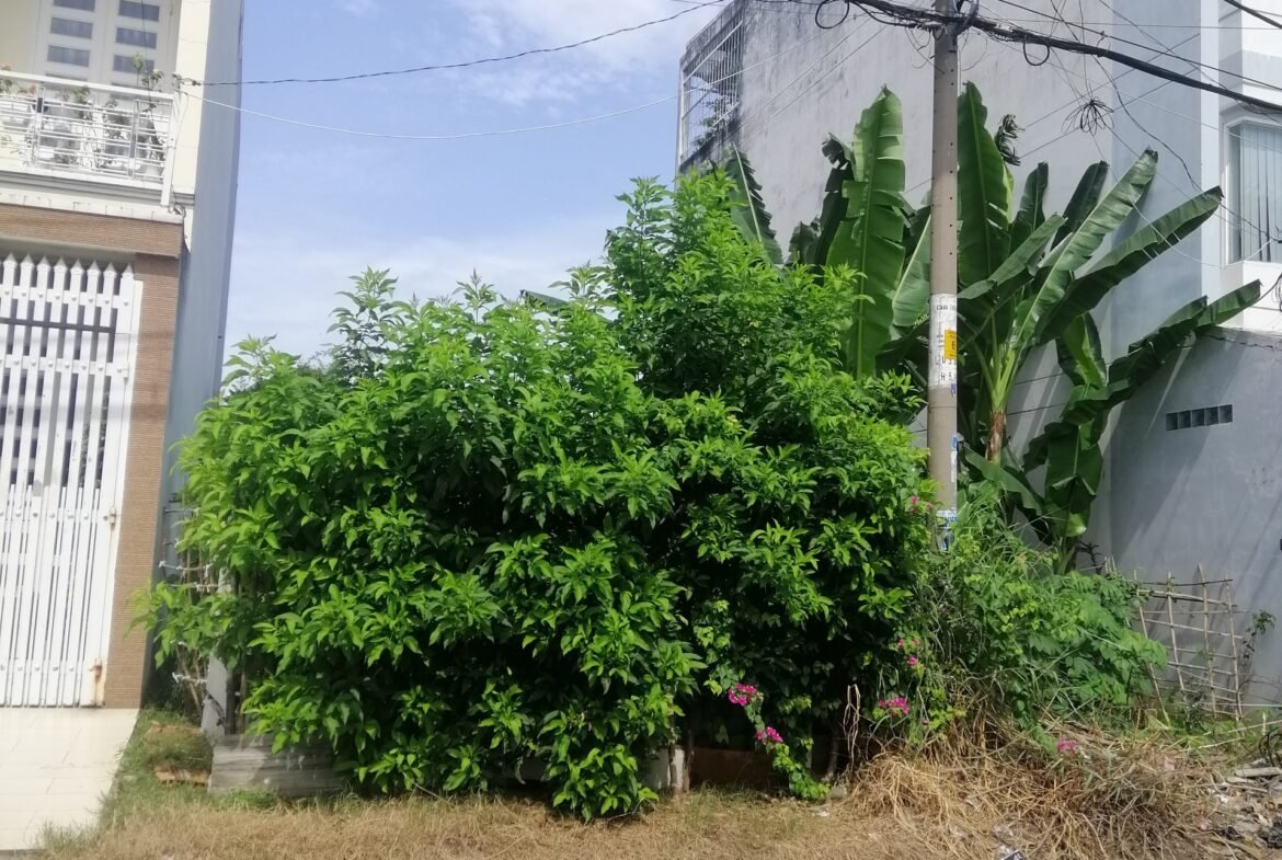 Đất mặt tiền đường 32A khu Ao Sen Tên Lửa