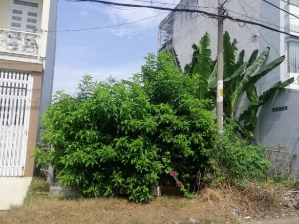 Đất mặt tiền đường 32A khu Ao Sen Tên Lửa