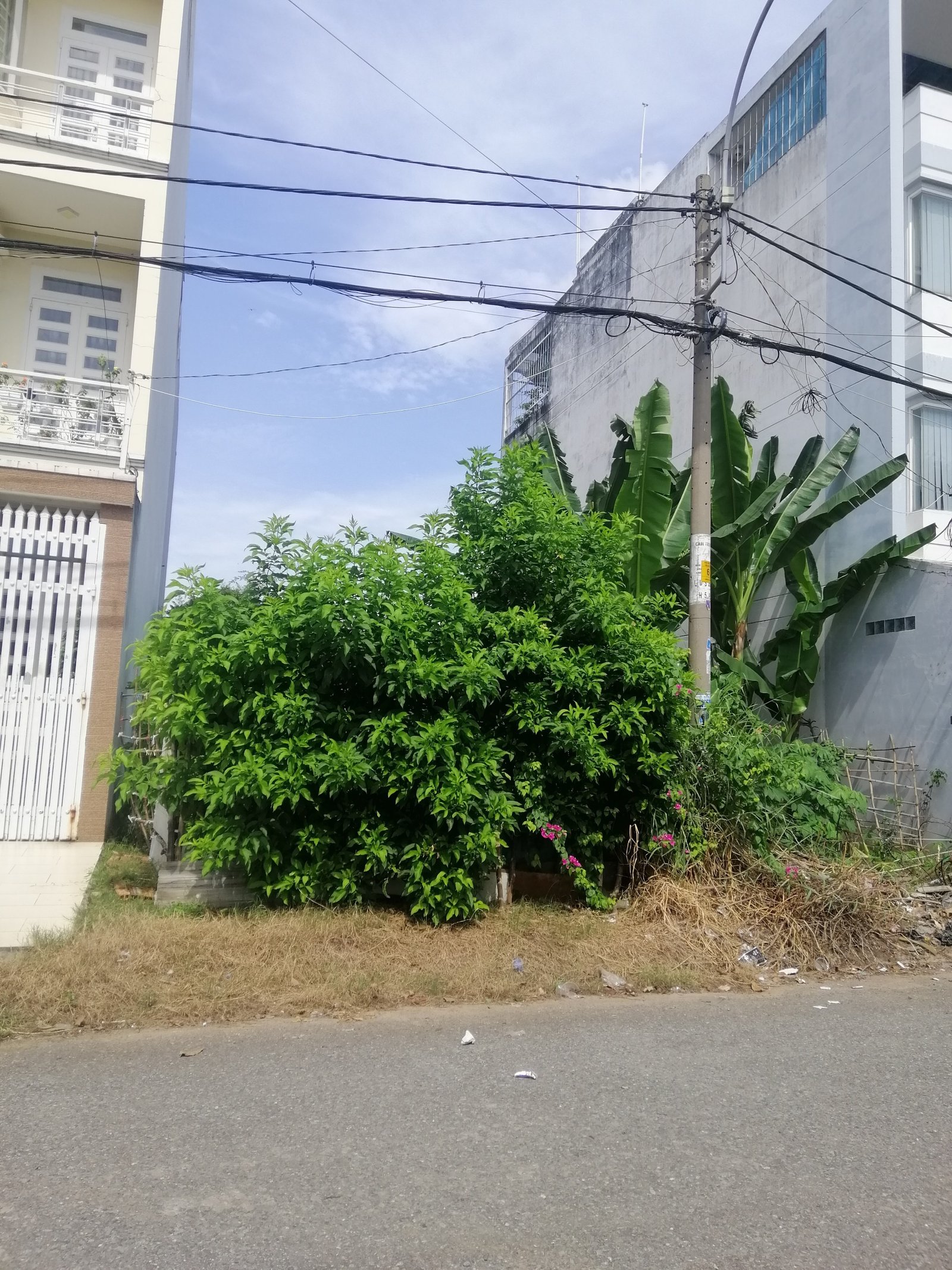 Đất mặt tiền đường 32A khu Ao Sen Tên Lửa