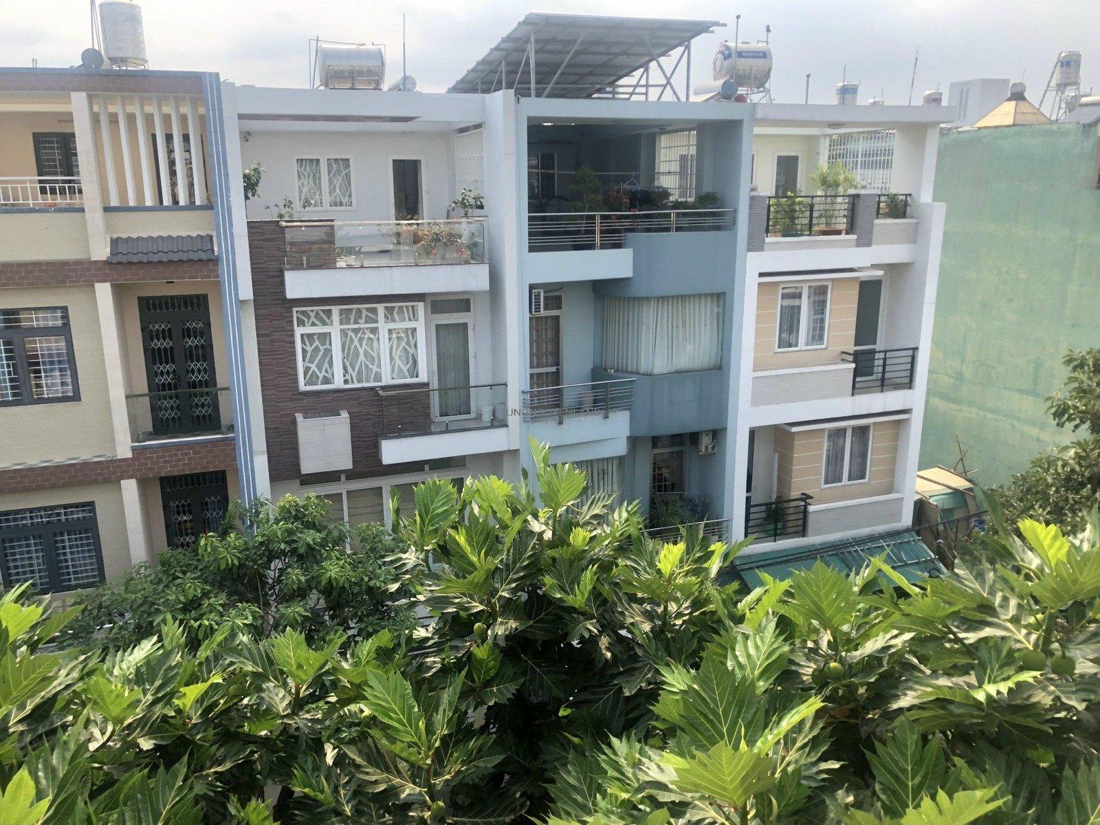 z4419971067836_3253e2601ea174e5367925ccde6ccc76