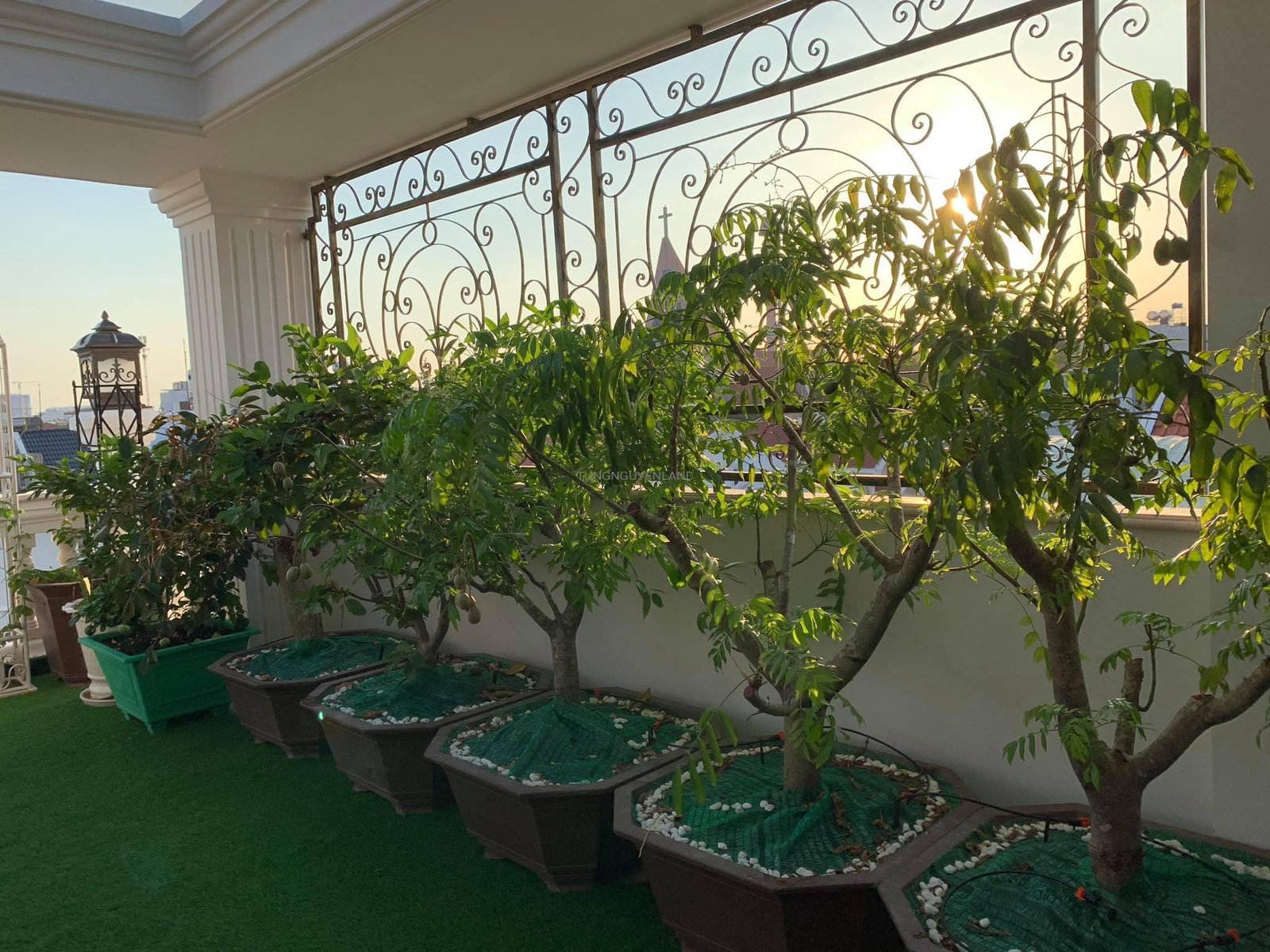 z4908436172278_2384aea6a1b9c7e5f8599c6c259be2a4