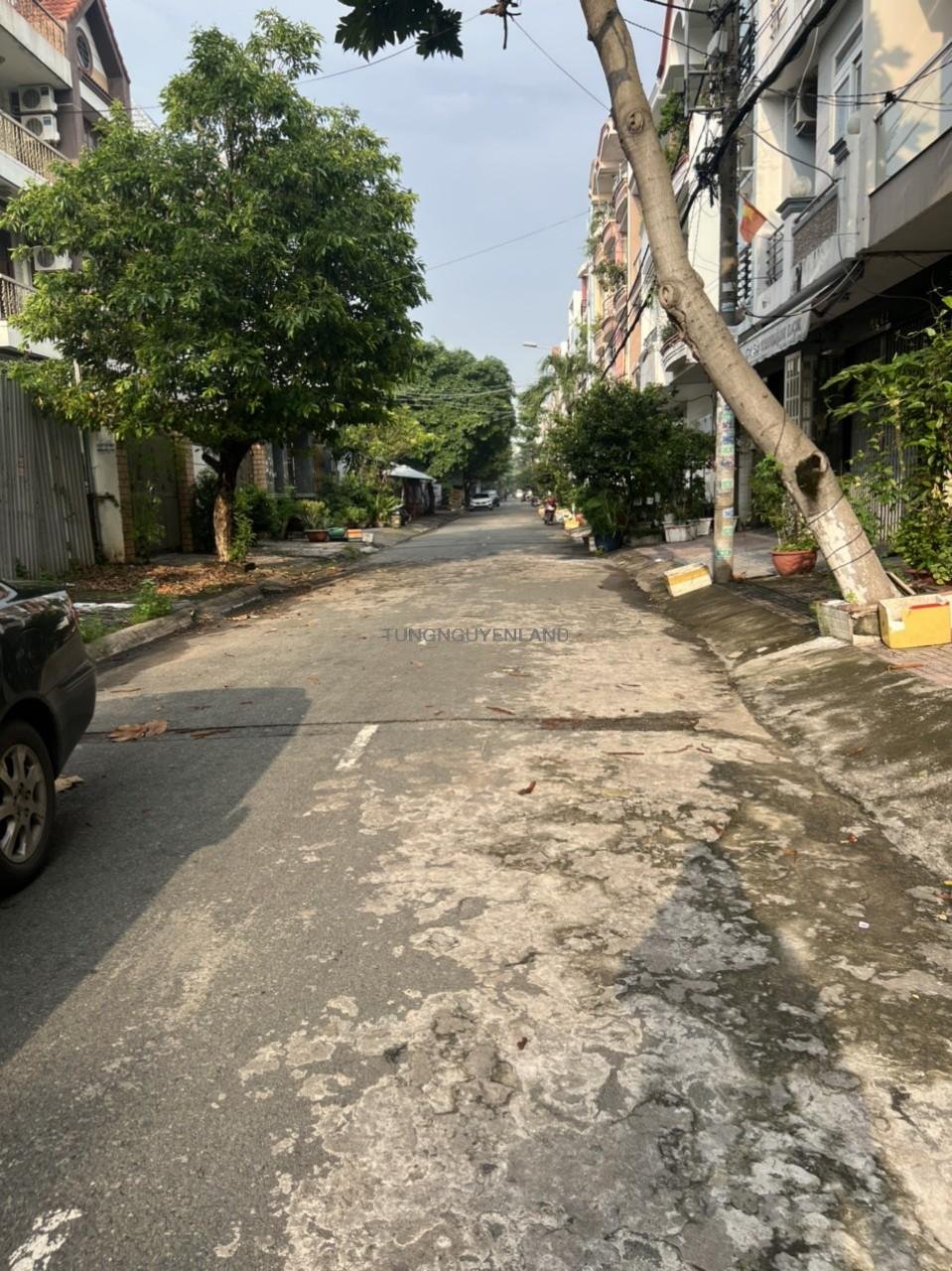 z4938693125999_aab1871bdaeb6246d315c096972e34c9