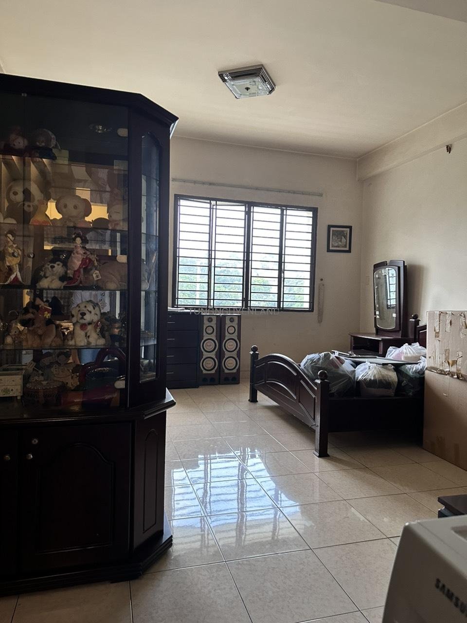 z4972727869263_67049a37110be4ae4ff90dc47f3d5970