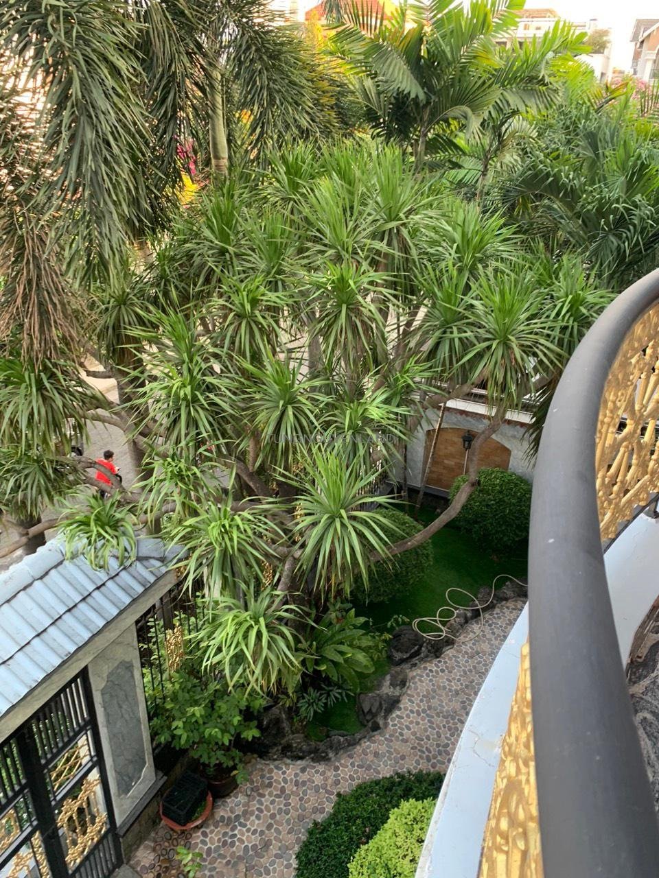 z5170756856301_540668e47a0a194f525524138f8e170b