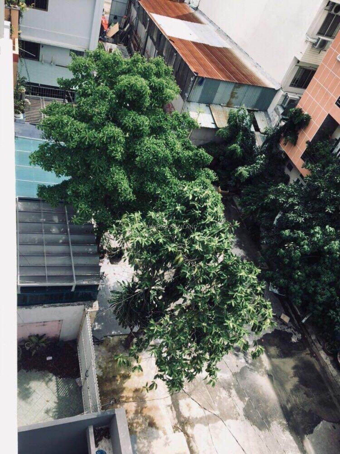 z5189304688209_26d02542a04fbcdcb0646cc6273262d8