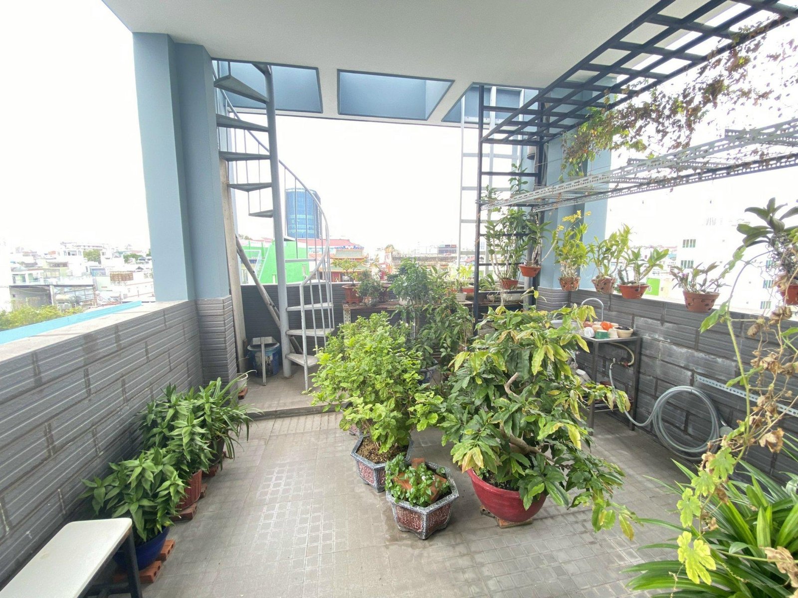 z5208777472662_1c0d7bdcc8743d7b9d5305b2e53c9355