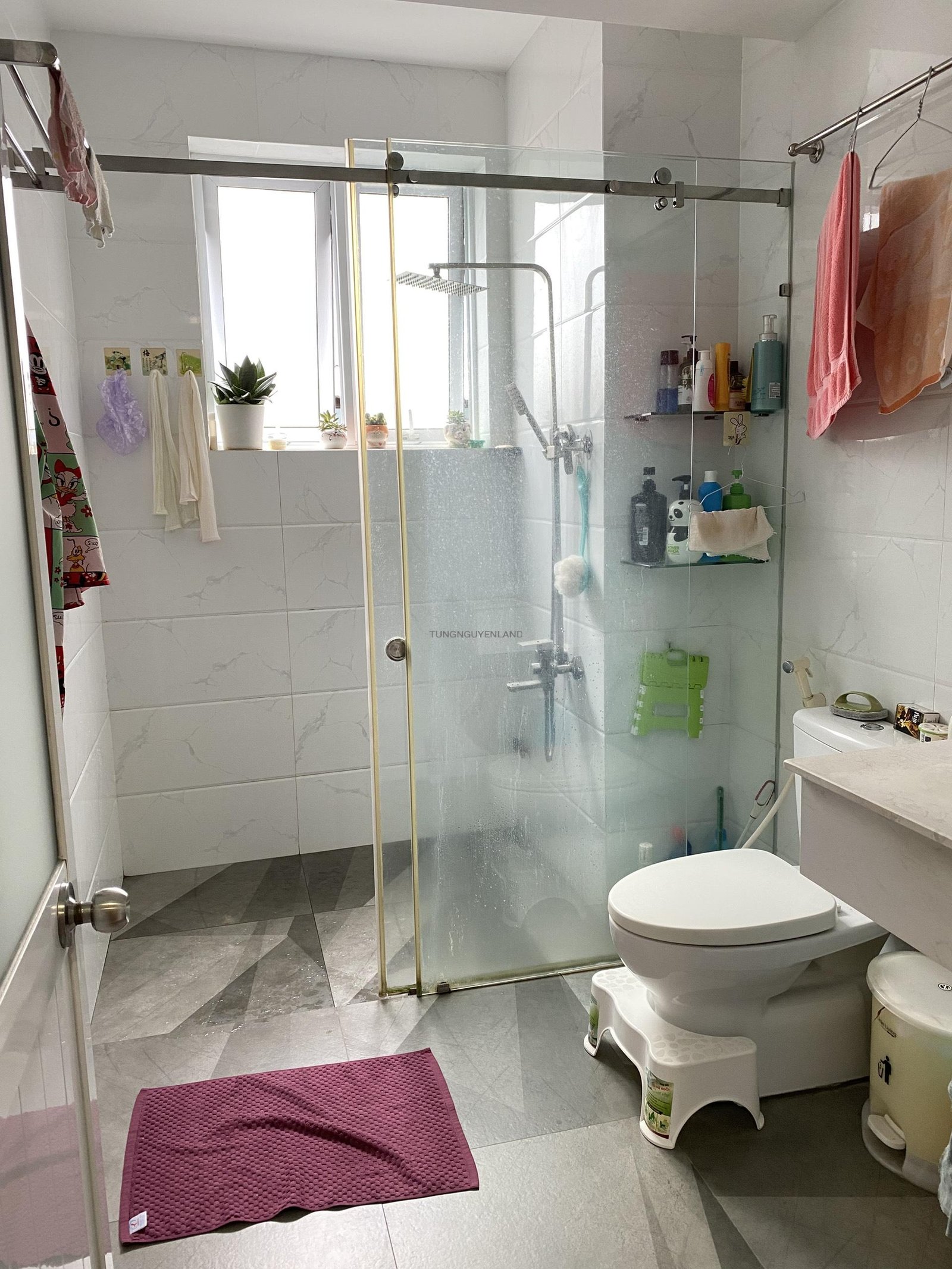 z5208777485674_afa7277ef85b7619a85e75749219a935