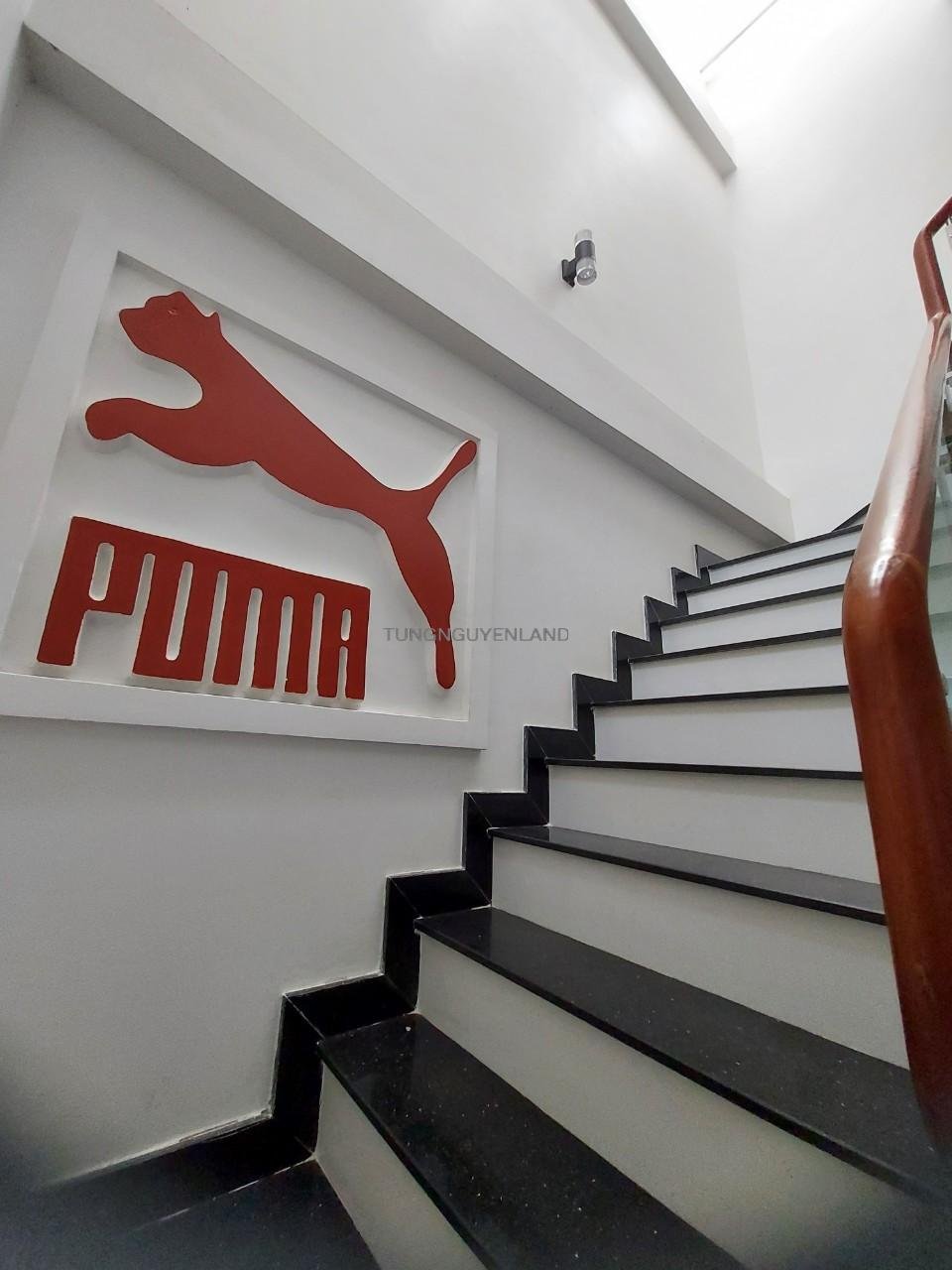 z5402726639575_dc74cca4be926c2b1cbc49ec2f519a24