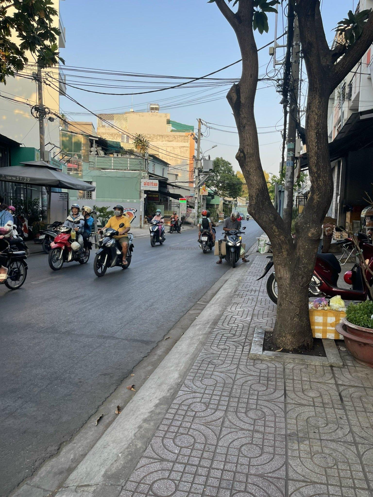 z5466544510229_995ccd3601cf1f13485555b84b21149f