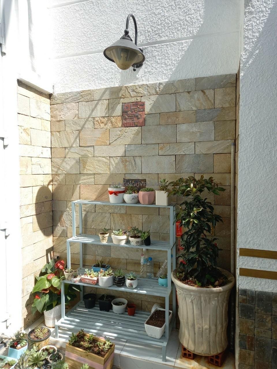 z5600126409612_fde398a6ae967bc35aba3674b36c53b7