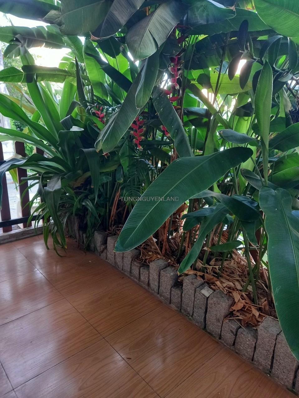 z5600126419433_39e3d37b97477ffe9b31d0223120f8bc