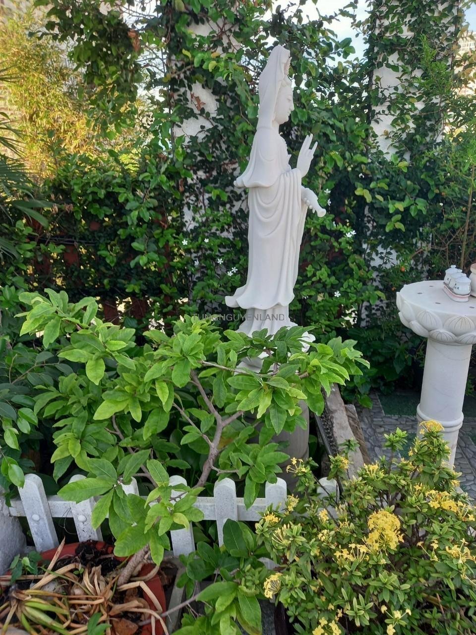 z5600126429504_e2d66fd7ef12cf0316fcde4451a1164c