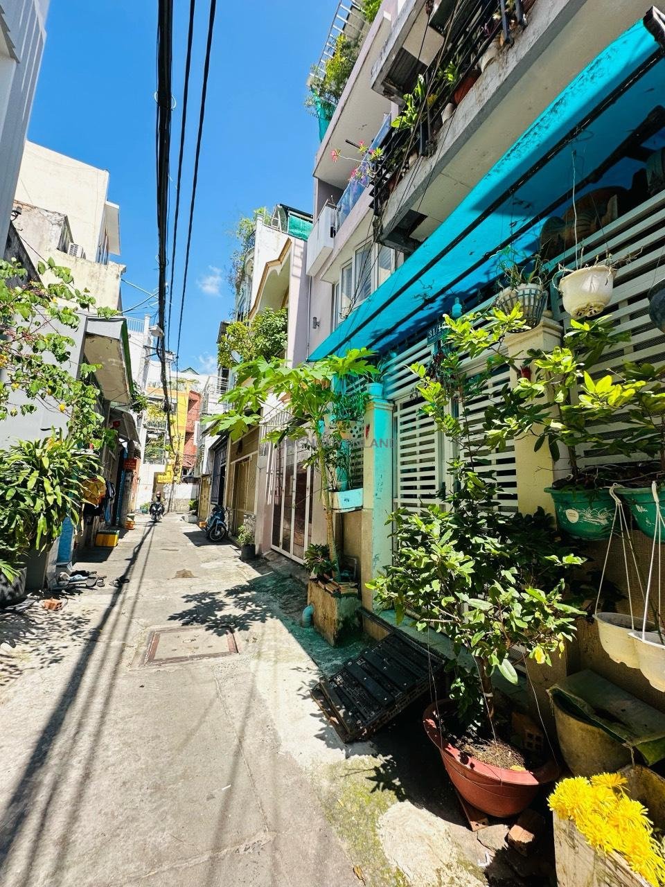 z5733417781876_e600580277e3406d5bf4ef94011134be