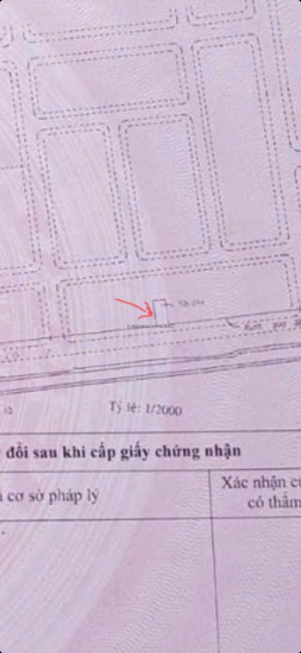 z6790479248099_53996099ac38a4dd31980ea35b00602c